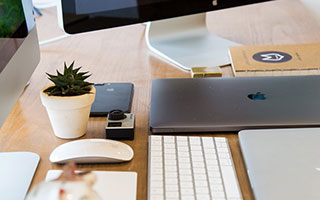 太阳花扦插种植方法养护？太阳花扦插注意事项